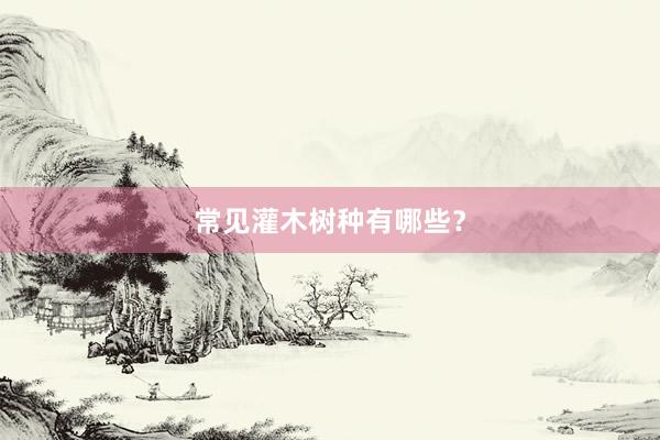 常见灌木树种有哪些?