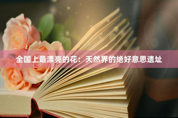 全国上最漂亮的花：天然界的绝好意思遗址